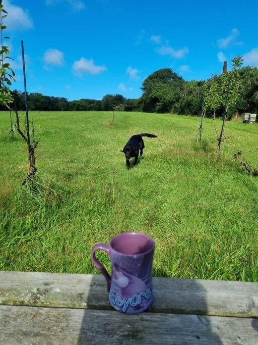 Luxury 5-Star Cornish Barn - Pets Very Welcome Villa Camborne Exterior photo